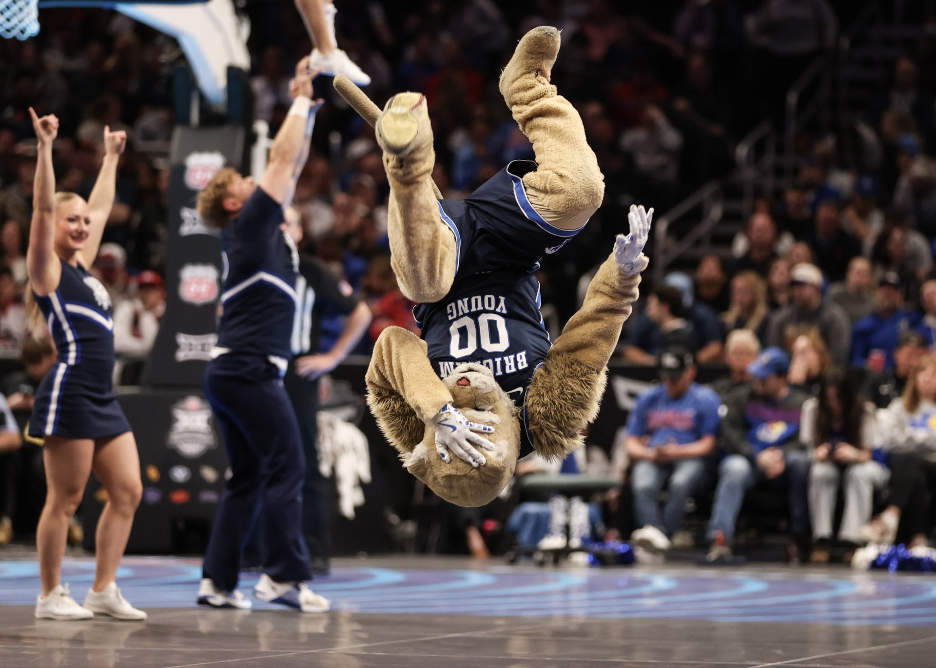 BYU mascot backflip